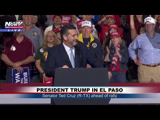 CRUZ AT EL PASO MAGA RALLY: Sen. Ted Cruz (R-TX) Speaks Ahead of President Trump (FNN)