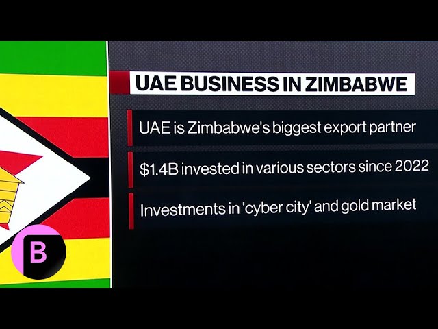 Africa, Middle East: How the UAE Became Zimbabwe's Biggest Export Partner