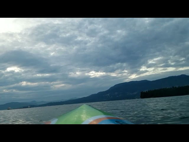 Paddlewheeler Pursuit(1)