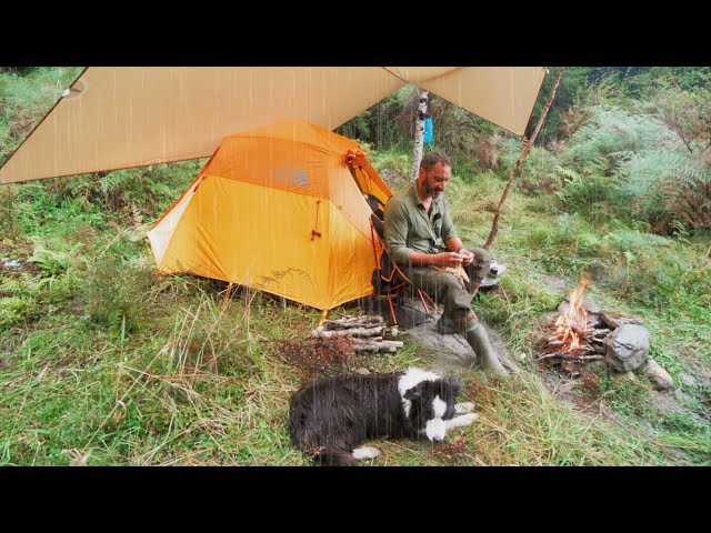 Tent CAMPING in RAIN - Fire - Dog