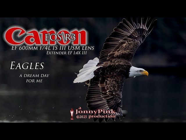 Eagles with the Canon R3 and  600 F4 near San Louis Obispo - kind of a dream shoot for me!!