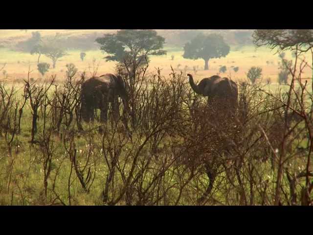 Uganda; Sustainable Tourism