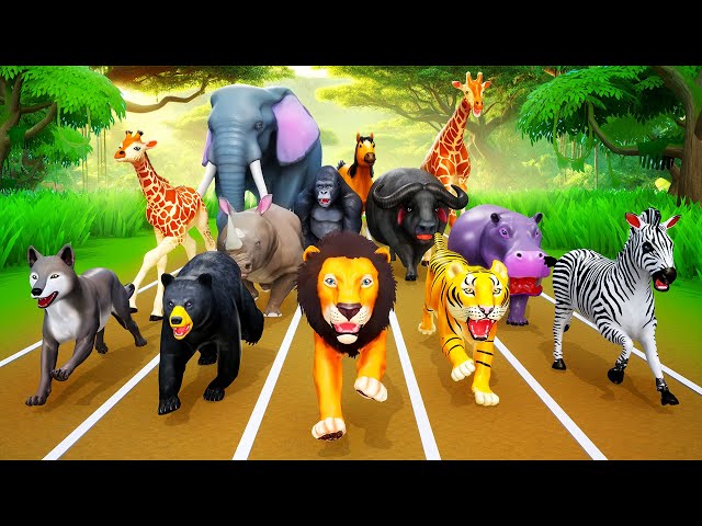 Wild Animals Running Race: Lion, Tiger, Elephant, Bear, Gorilla, Hippo, Fox Compete for the Win!