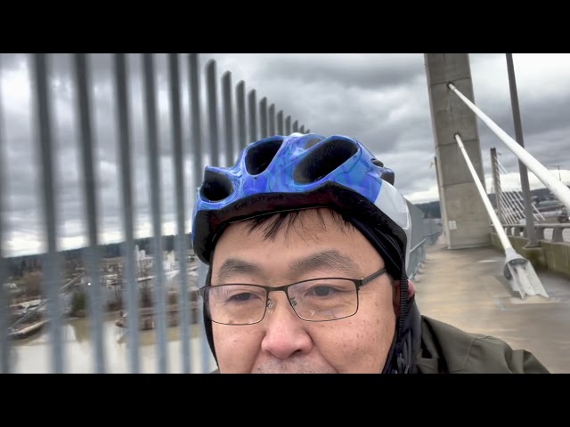 樱花号叭叭骑行：穿过金耳朵桥（Golden Ears Bridge），今天来回36公里！