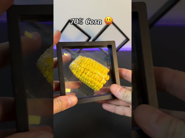 100% corn is: “😱😱😱”  #elaframe #sorts #elaframe