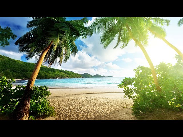 Beautiful Relaxing Peaceful Music | Calm Music 24/7 | "Tropical Shores" 🎶✨