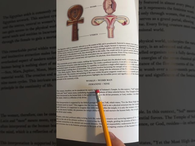 Egyptian Ankh | Book of Wisdom Vol. 2 Preview 👀 #spiritualawakening ☥✨