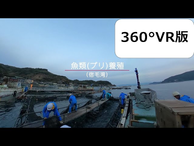 【高知県】養殖漁業(360°VR)【漁業紹介動画】