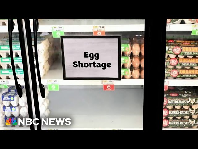 Egg robbery caught on camera