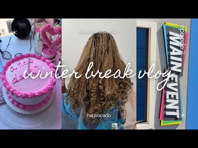 winter break vlog – everything i did before spring semester begins