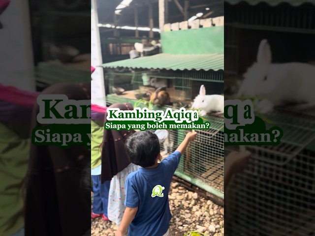 Kambing Aqiqah: Siapa yang Boleh Memakan?