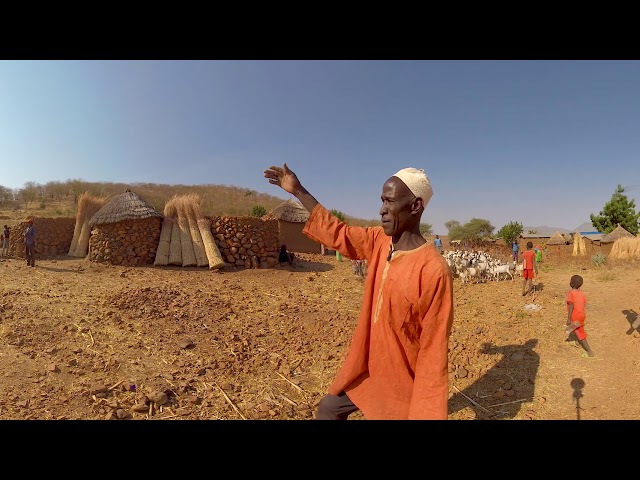 360 degrees: Trees that bring rain