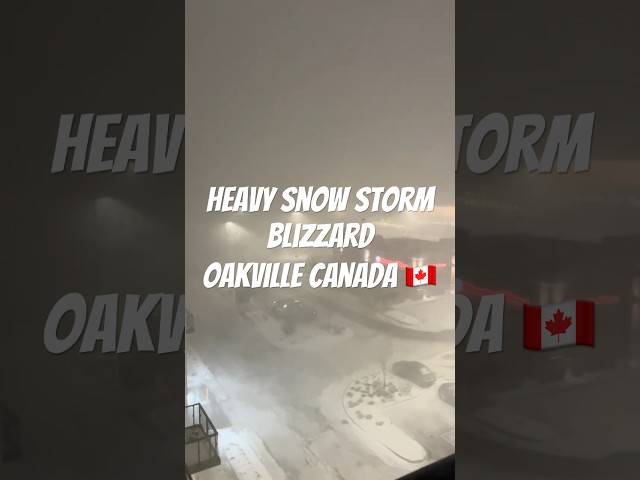 Heavy Winds and snow storm 🌨️ hitting in southern GTA Canada 🇨🇦 #snowstorm #canada #viral