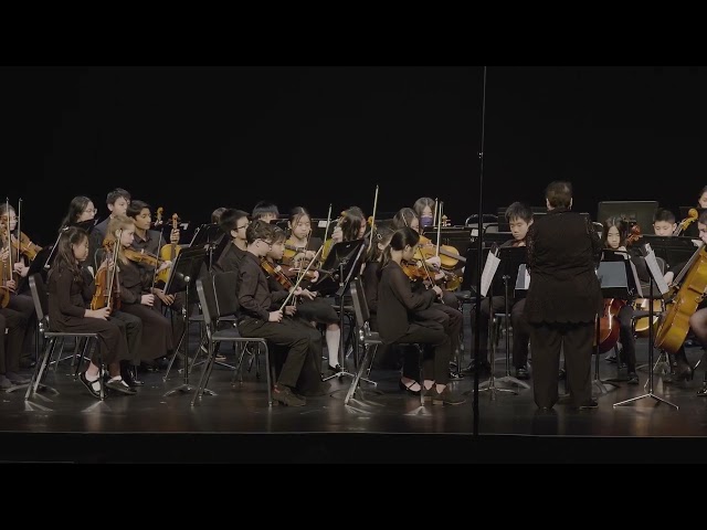 New Jersey Youth Symphony • Concertino Strings / May 11, 2024