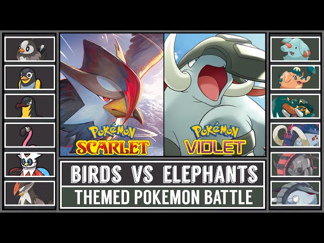 POKÉMON BIRDS vs POKÉMON ELEPHANTS | Theme Pokémon Battle [Pokémon Scarlet & Violet]