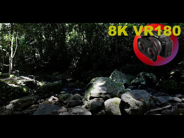 8K VR180 NATURE LOVERS ASMR at Springbrook National Park Part 1 in 3D (Travel/Lego/ASMR/Music)