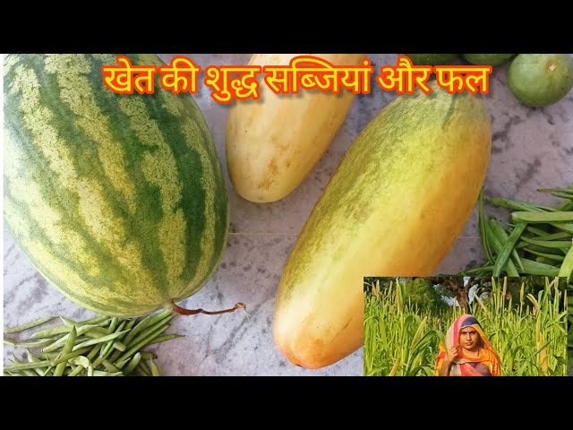 खेत की शुद्ध देसी सब्जियां और फल🌴 बाजरे का खेत, desi fruits and vegetables, vlog, video 🙏🙏