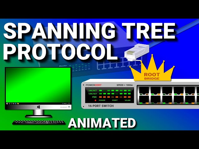 Spanning Tree Protocol | CCNA - Explained