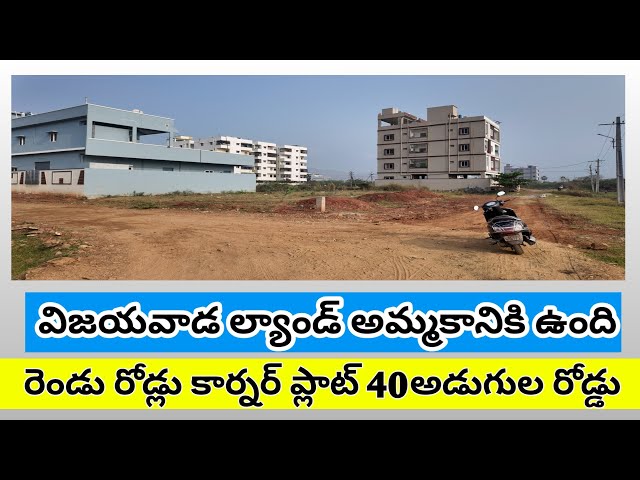 open land for sale in Vijayawada Nandhamuri Nagar 250 gajalu  polt