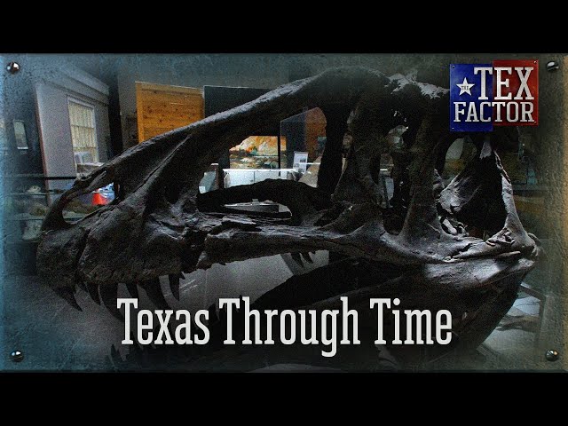 The Tex Factor: Texas Through Time