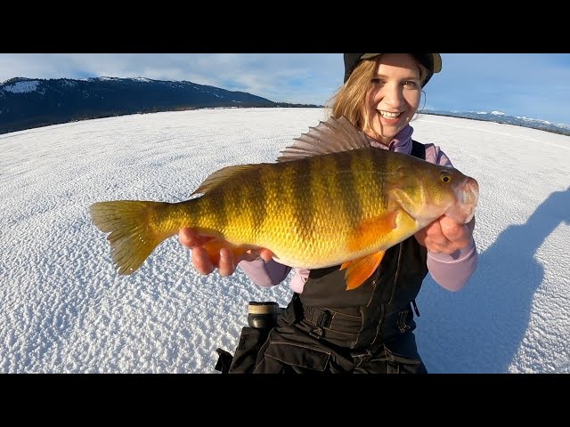 Ice Fishing Monster Cascade Perch Day 1