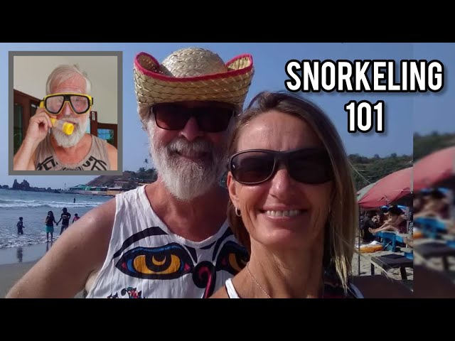 Things to KNOW B4 Snorkeling | What's a BATFISH?