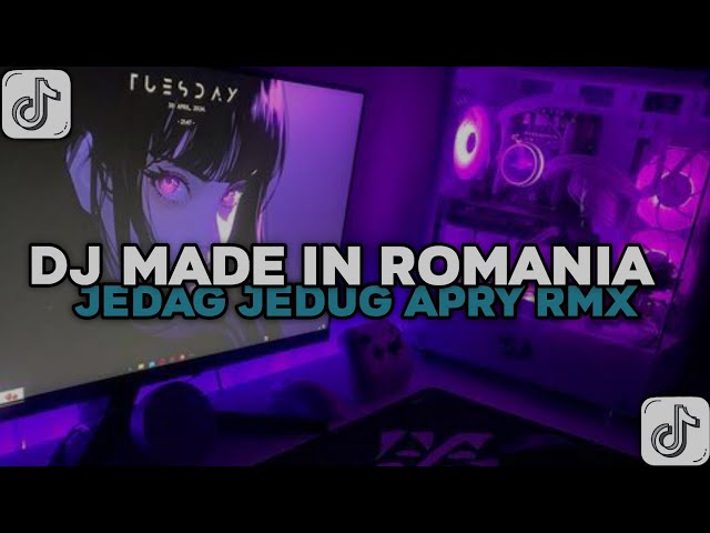 DJ MADE IN ROMANIA BY APRY RMX JEDAG JEDUG VIRAL TIKTOK 2025