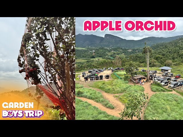 Kerela Boys Trip | Kanthaloor Apple thottam 😎🔥 | Kerala Series | Ep- 8 | Mr Vino