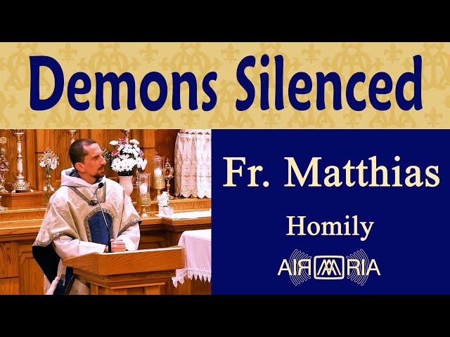 Our Lady of Lourdes Silences the Devil's Rage - Feb 11 - Homily - Fr Matthias