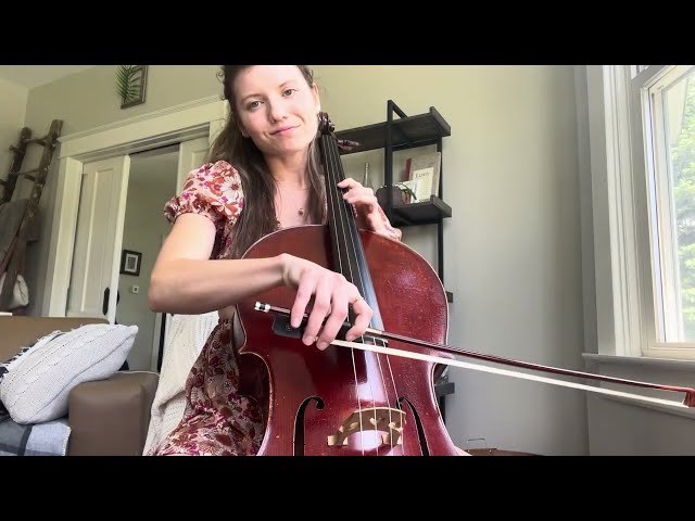 Wildest Dreams Cello Cover