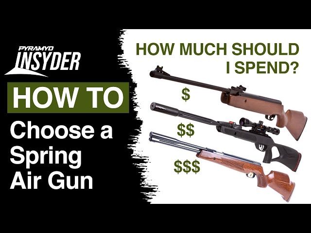 🤔 Choosing a Spring Air Gun: How Much Should You Spend? 🎯