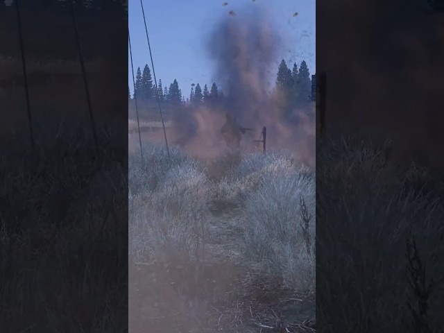 Landmines in DayZ