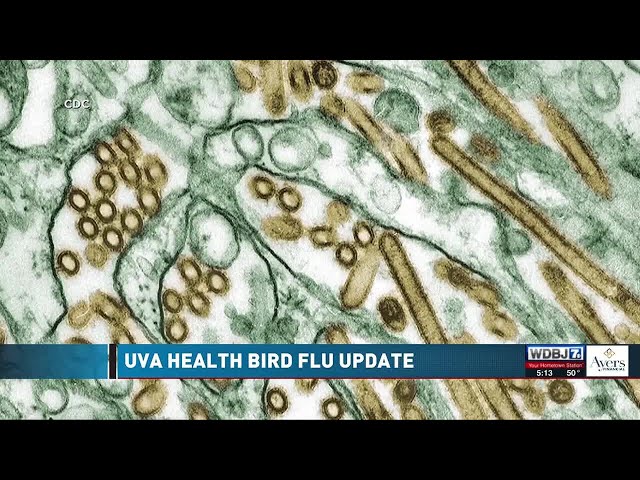 UVA Health Provides Update on Bird Flu