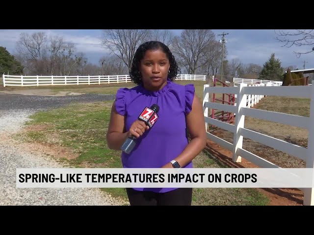 Early warm weather impacts Upstate farmers’ crops