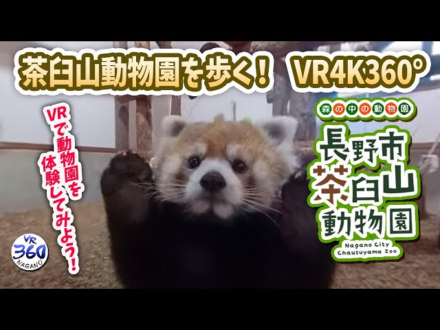 茶臼山動物園 360°動画