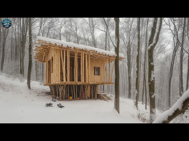 Crafting a Wooden Refuge Amidst the Wilderness