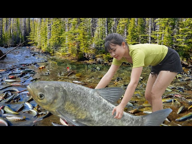 TOP Big Fish. I Caught The Biggest Fish in the Forest | Fishing, Traps Fish, Catch Fish