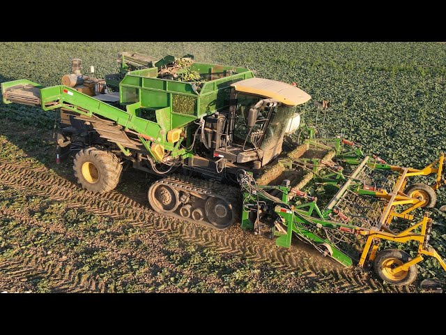 CUSTOM Claas Lexion Cucumber harvester!