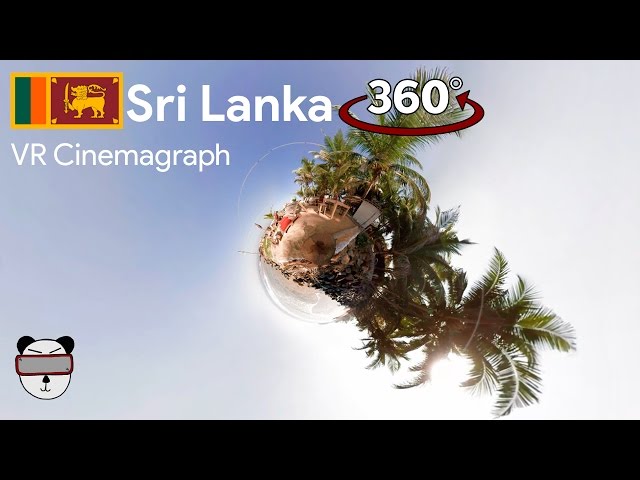 📽360° Cinemagraphs: Ocean Sunrise | Galle, Sri Lanka 🇱🇰