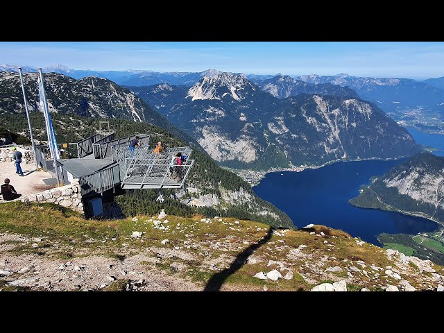 Krippenstein - Wiesberghaus über Gjaidalm - Abstieg Waldbachstrub