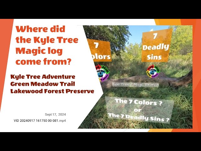 Kyle Tree Story: Where did the Magic Log come from?