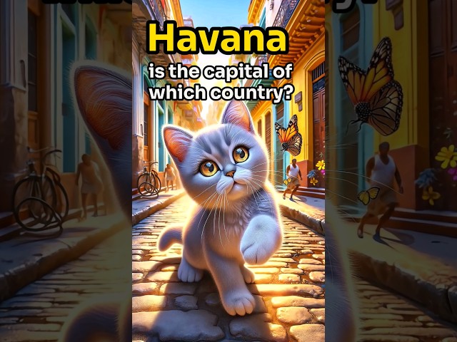 【CAT STORY】 GUESS Havana is the capital of which country? #quiz #shorts #subscribe #cat #cute