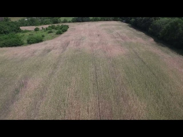 Family Farm, Lone Jack, MO