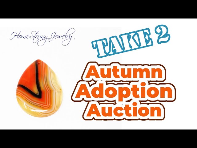 Preview "Take 2" of the Autumn Adoption Auction