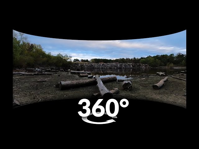 A Moment...at Craighead Forest | 360°.ave