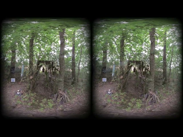 Lammas08  in 3D 180VR  filmed  with  VUZE XR