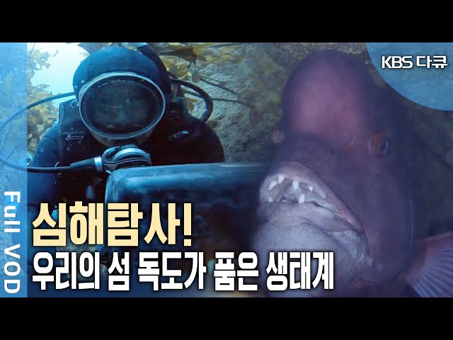 'KBS 최초공개' 독도 심해 촬영 영상. 20년 전 가라앉은 보물섬 발견? | 환경스페셜 - 독도, 미지의 여정 | KBS 20230107 방송