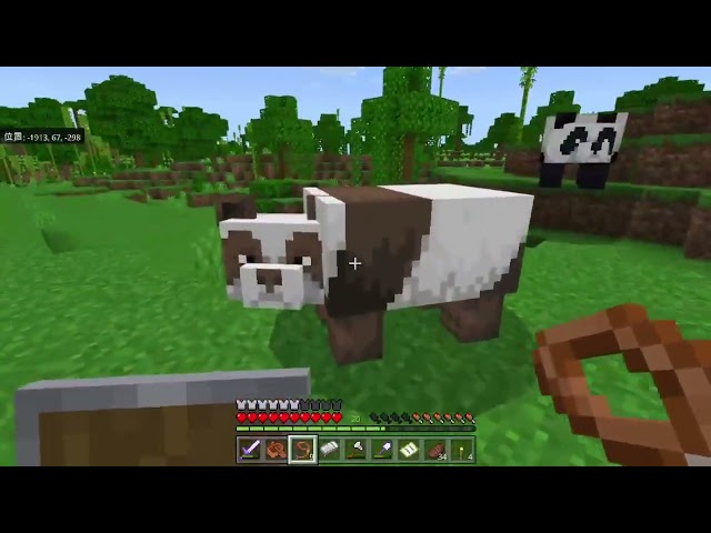 長激レアな茶色パンダ見つけたああああ！！【Minecraft】