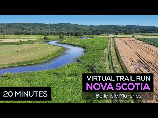 Treadmill Trail Run - Nova Scotia - Belle Isle Marsh - Virtual Running