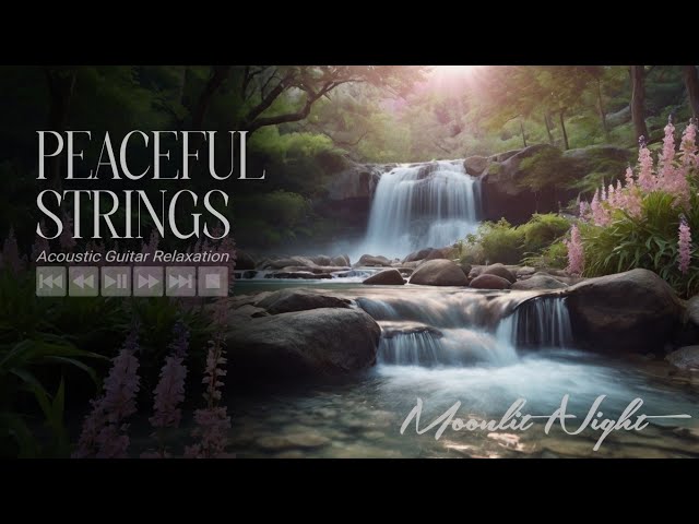 Peaceful Strings: Acoustic Guitar Relaxation